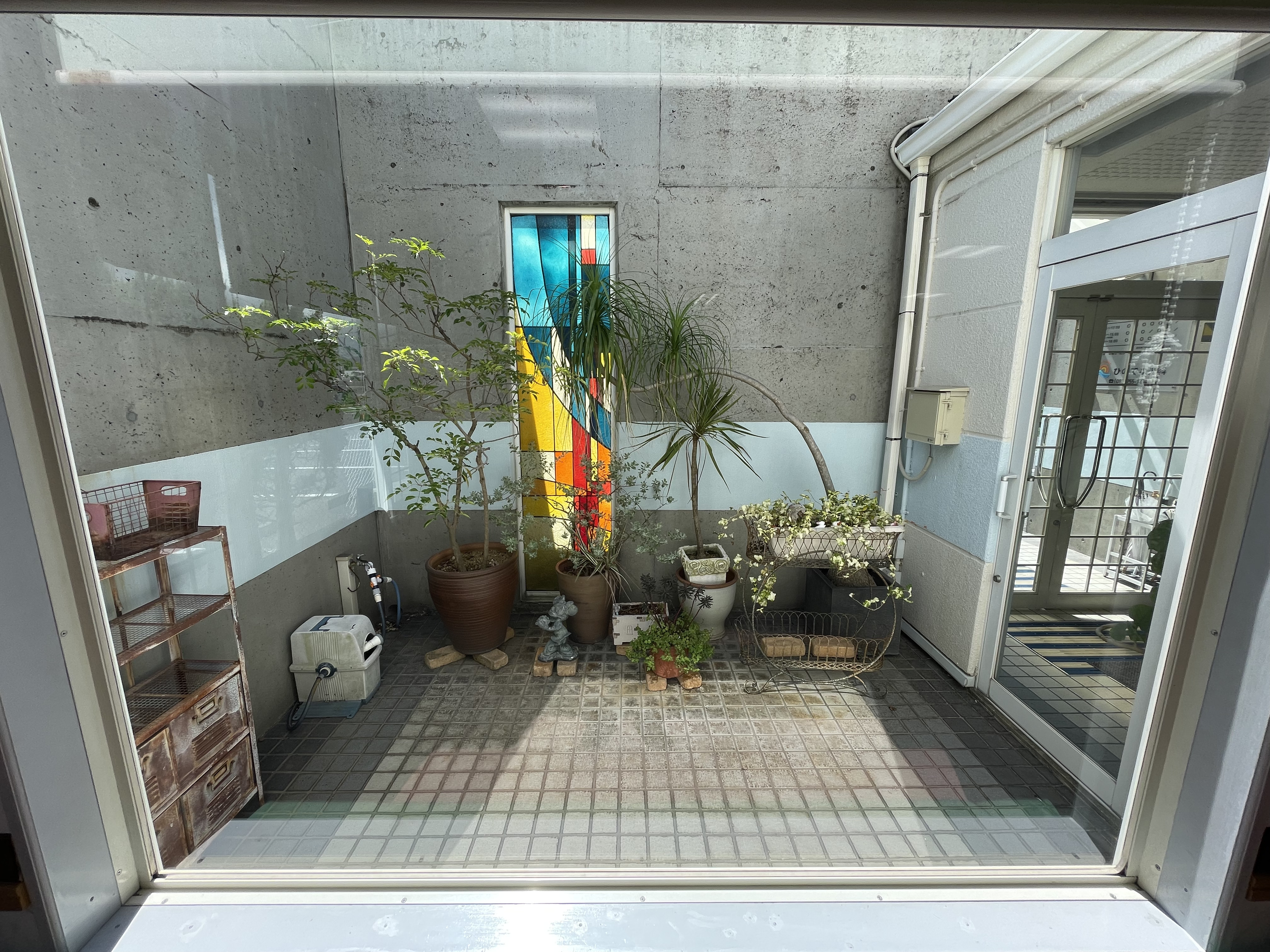 中庭（光庭）